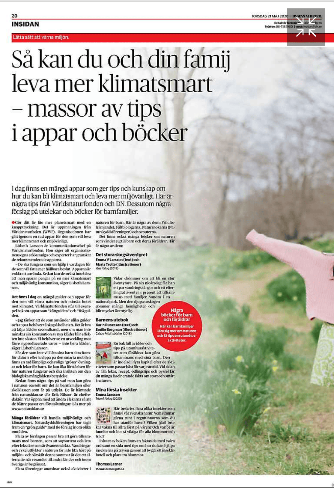 dn skog